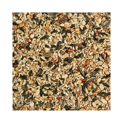 Product KAYTEE® Nut & Fruit Blend Wild Bird Food