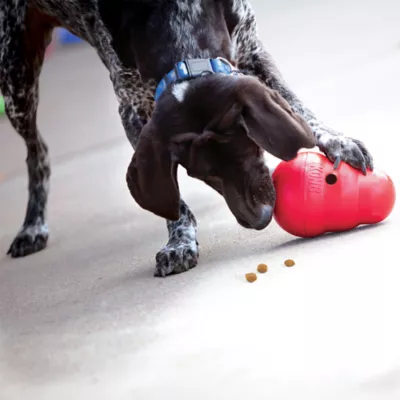 KONG® Wobbler™Treat Dispenser Dog Toy - Image 2