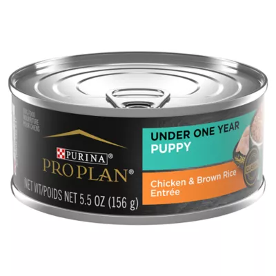 Product Purina Pro Plan Development Puppy Wet Dog Food - Chicken & Brown Rice, 5.5 oz