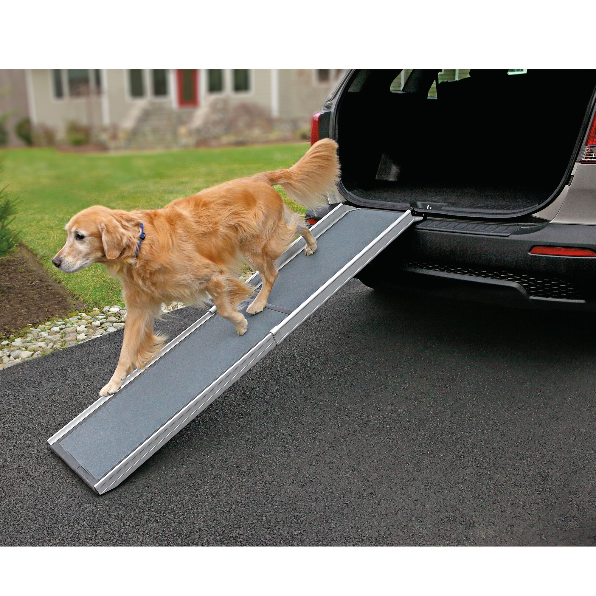 pet ramp