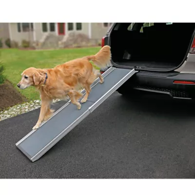 Portable pet ramps for dogs best sale