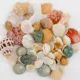 Product Top Fin® Seashell Aquarium Décor - Assorted Shells