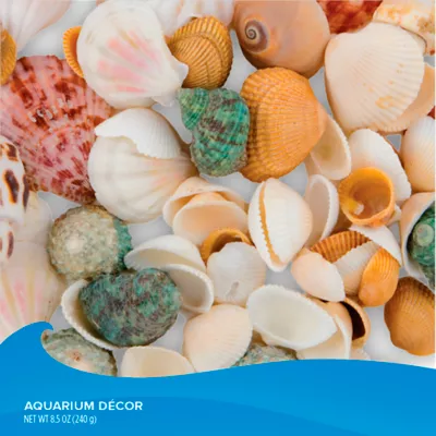 Top Fin® Seashell Aquarium Décor - Assorted Shells - Aquarium Stones - Fish Tank Decor - Image 2