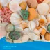 Top Fin® Seashell Aquarium Décor - Assorted Shells - Aquarium Stones - Fish Tank Decor image thumbnail 2