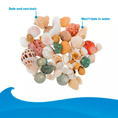 Top Fin® Seashell Aquarium Décor - Assorted Shells - Aquarium Stones - Fish Tank Decor - Image 3