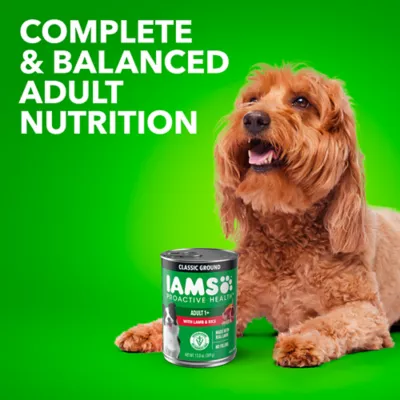 Product IAMS™ Proactive Health Adult Wet Dog Food - Pate, 6 Count