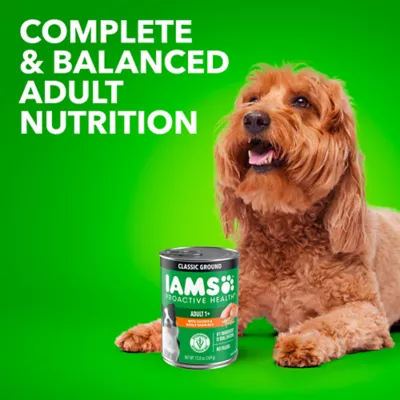 Product IAMS™ Proactive Health Adult Wet Dog Food - Pate, 6 Count