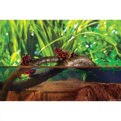Product Exo-Terra Artificial Jungle Vines