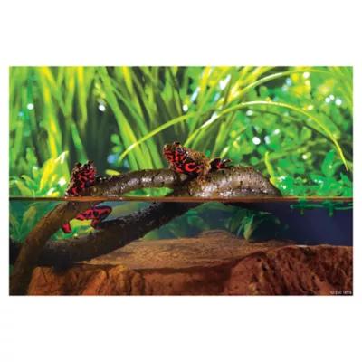 Product Exo-Terra Artificial Jungle Vines