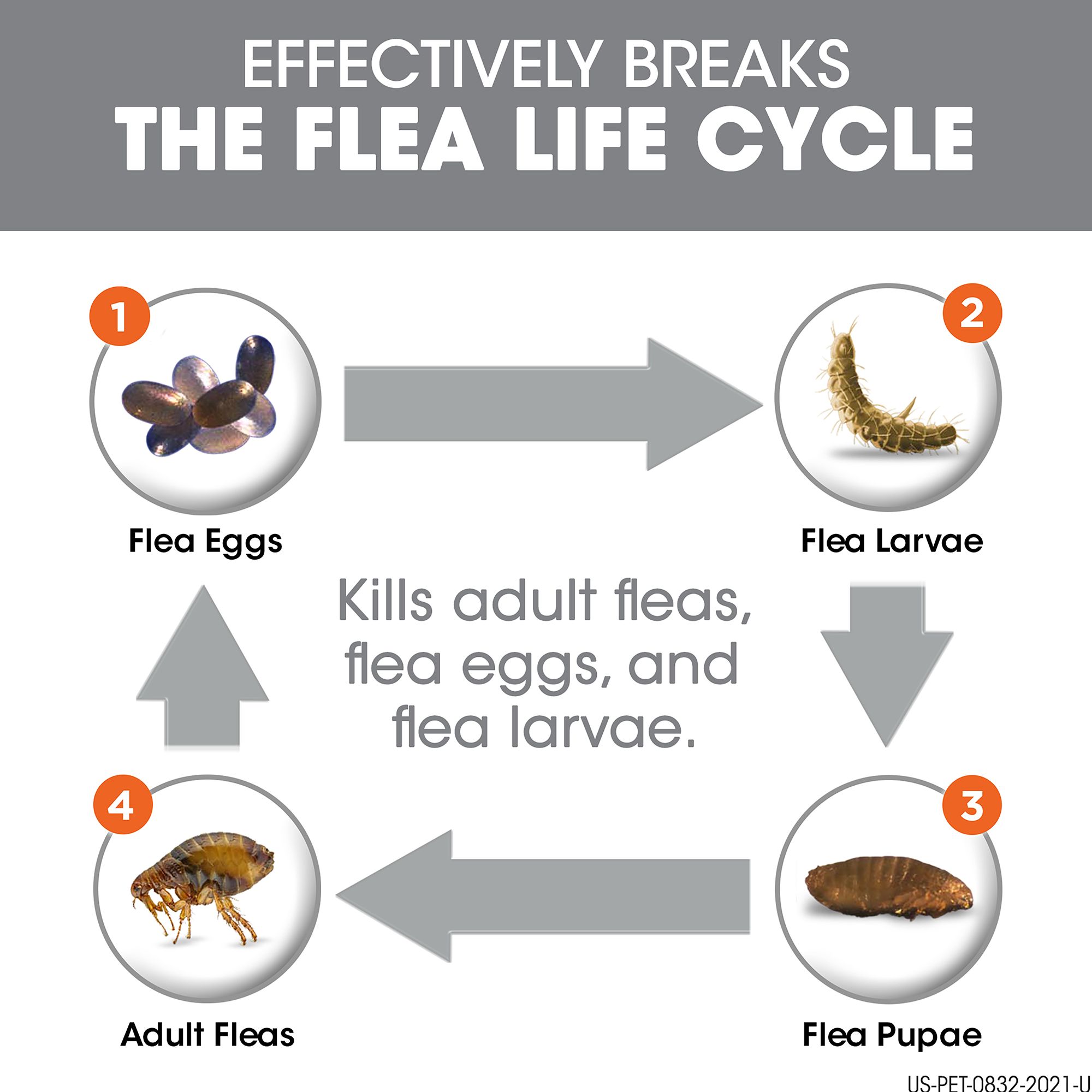 oral flea medication for dogs petsmart