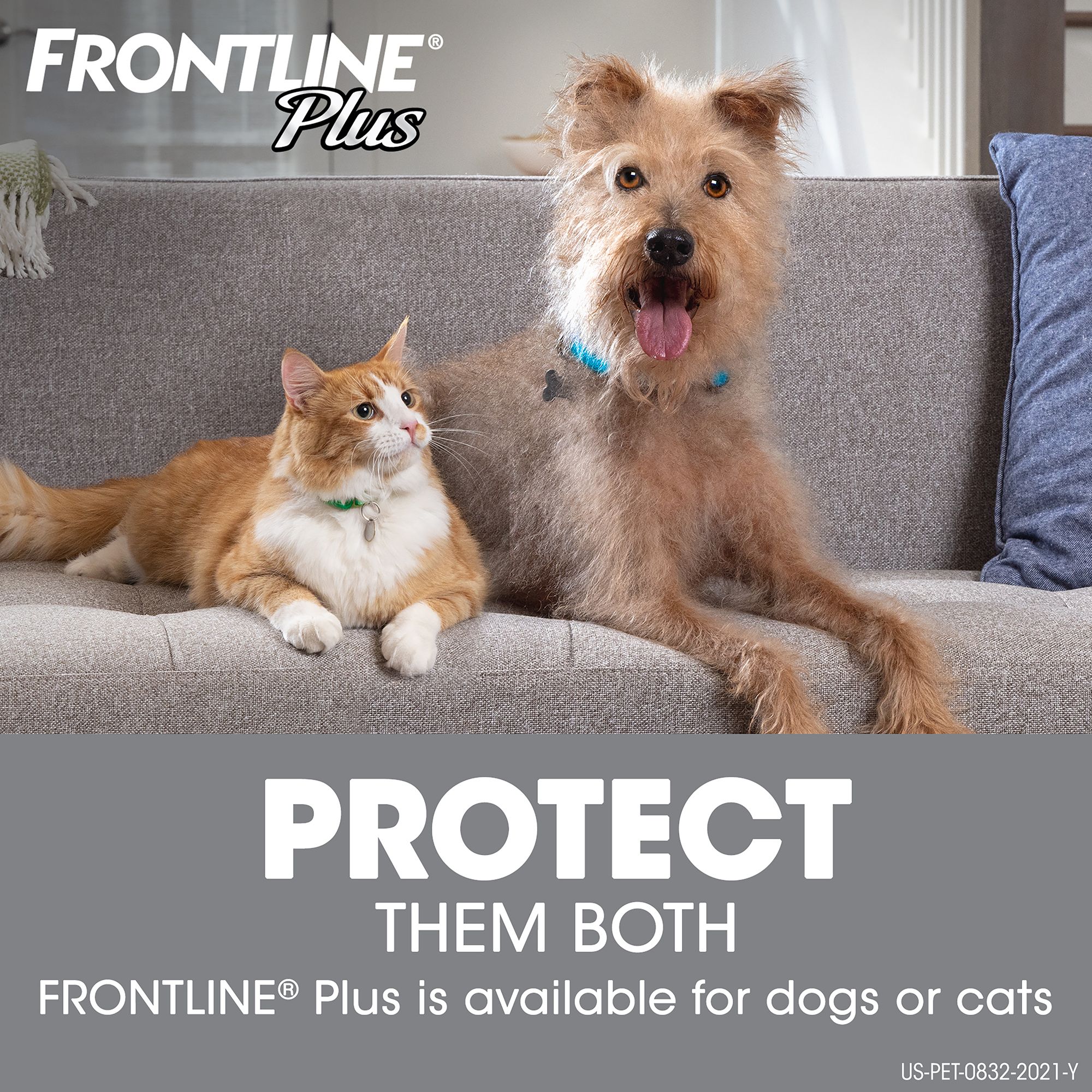 what is the difference between frontline for cats and dogs