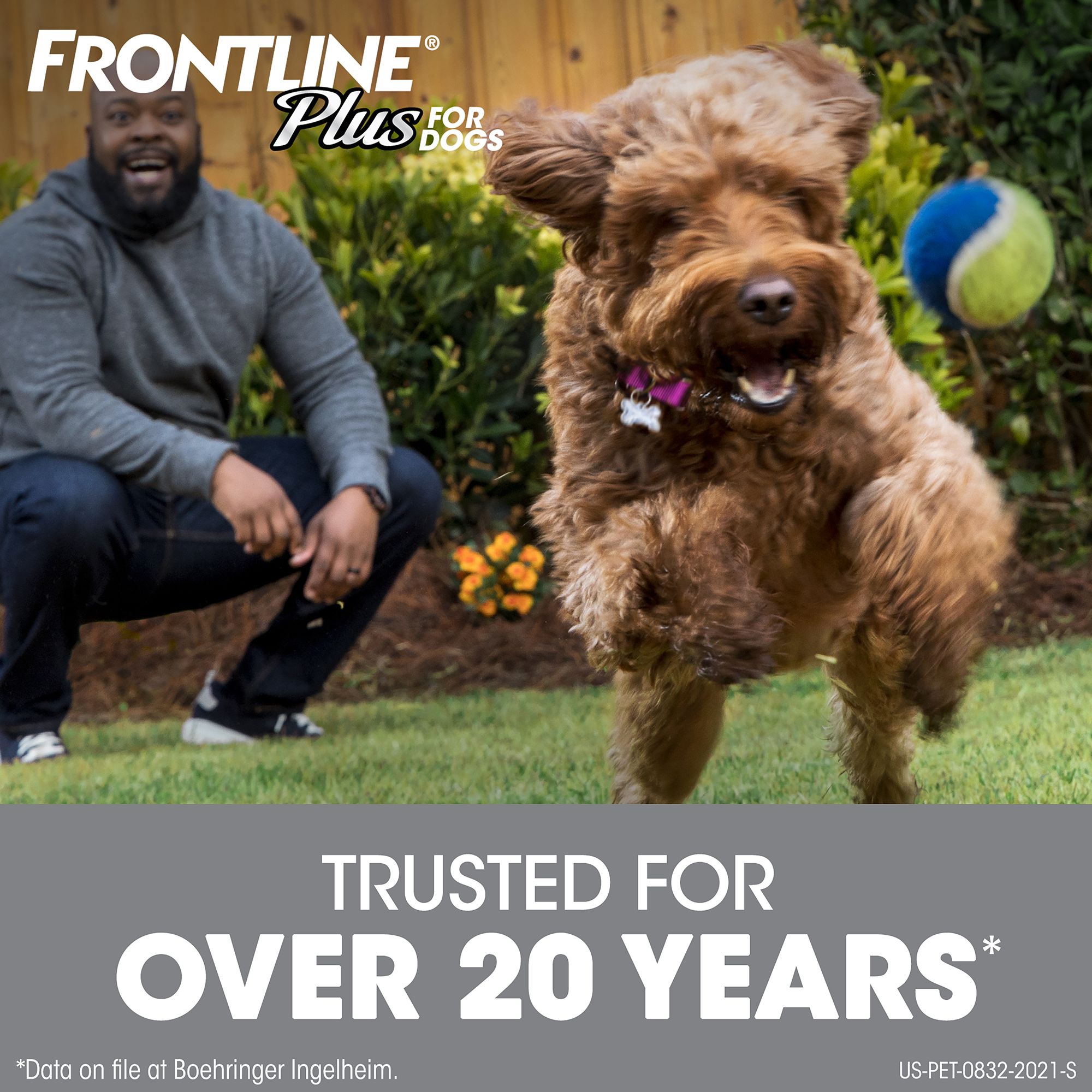 frontline plus for dogs 45 88 lbs