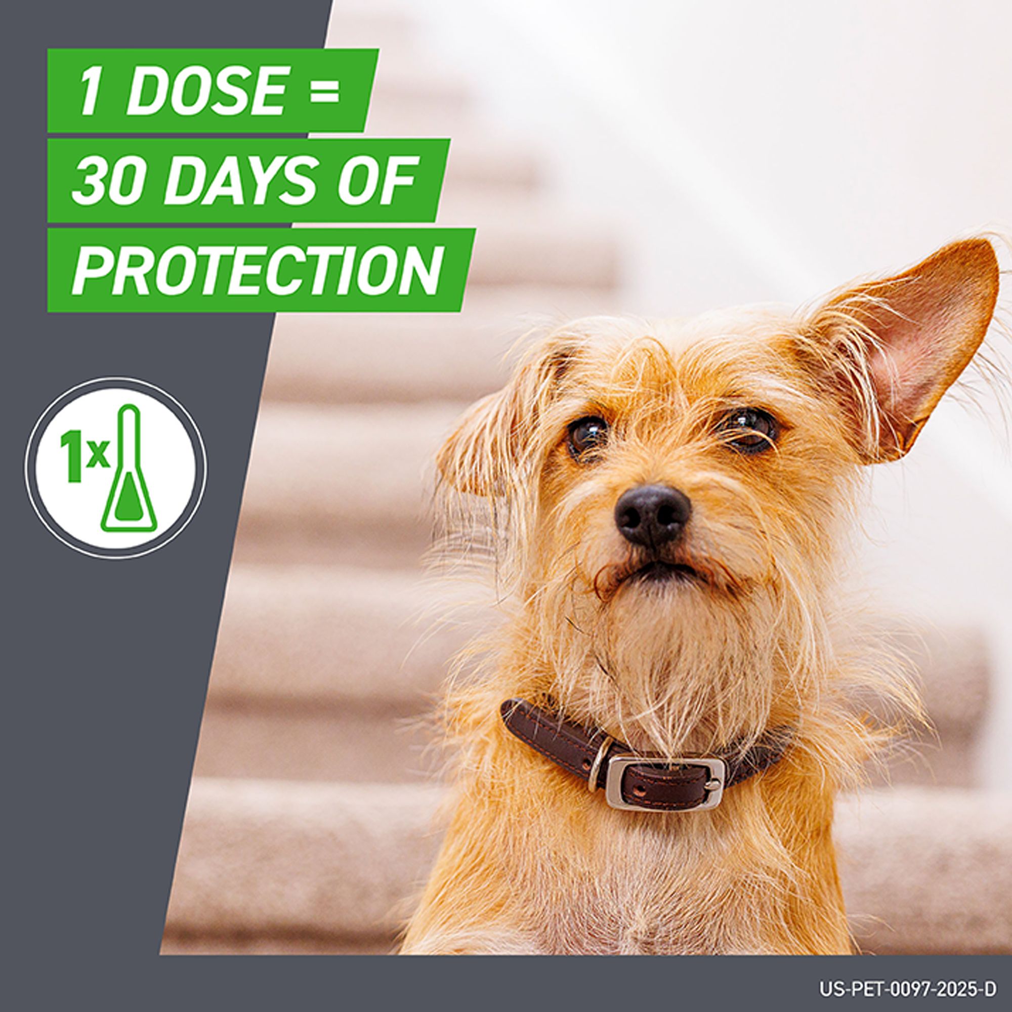 petsmart frontline for dogs