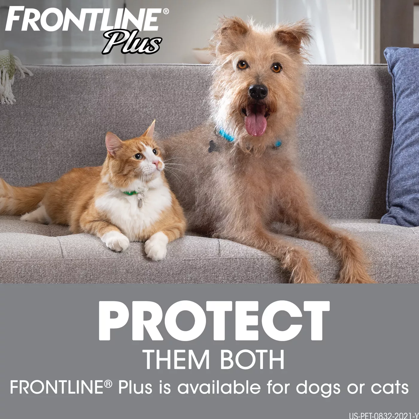 Flea and tick frontline plus hotsell