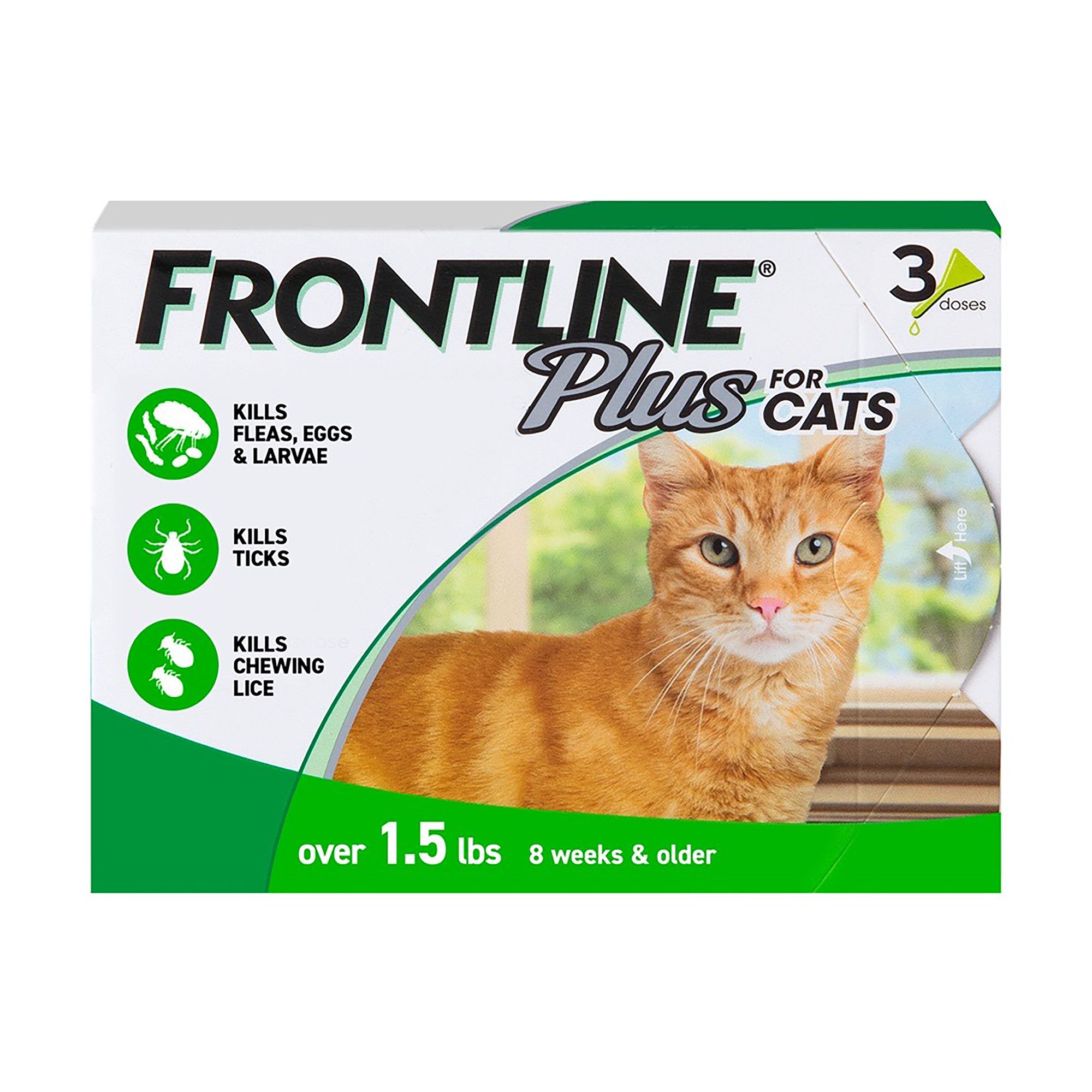 cat grooming flea treatment