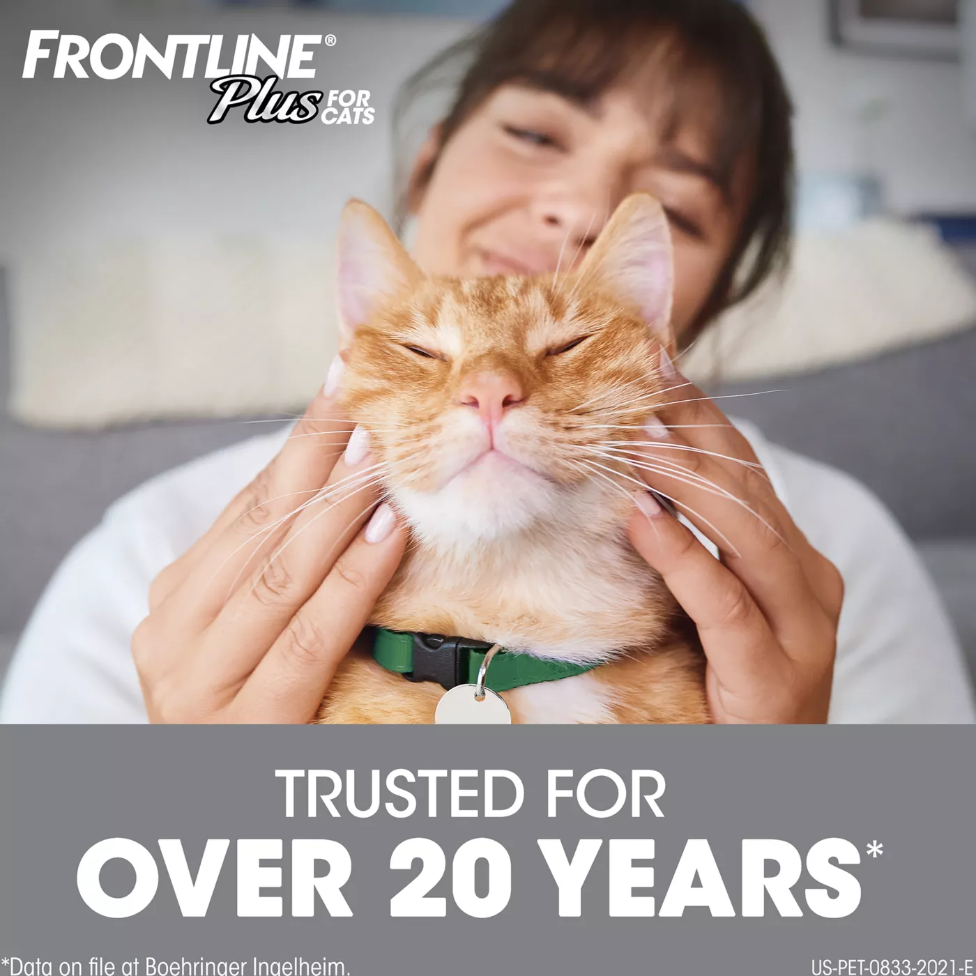 Frontline cats pets at home hotsell