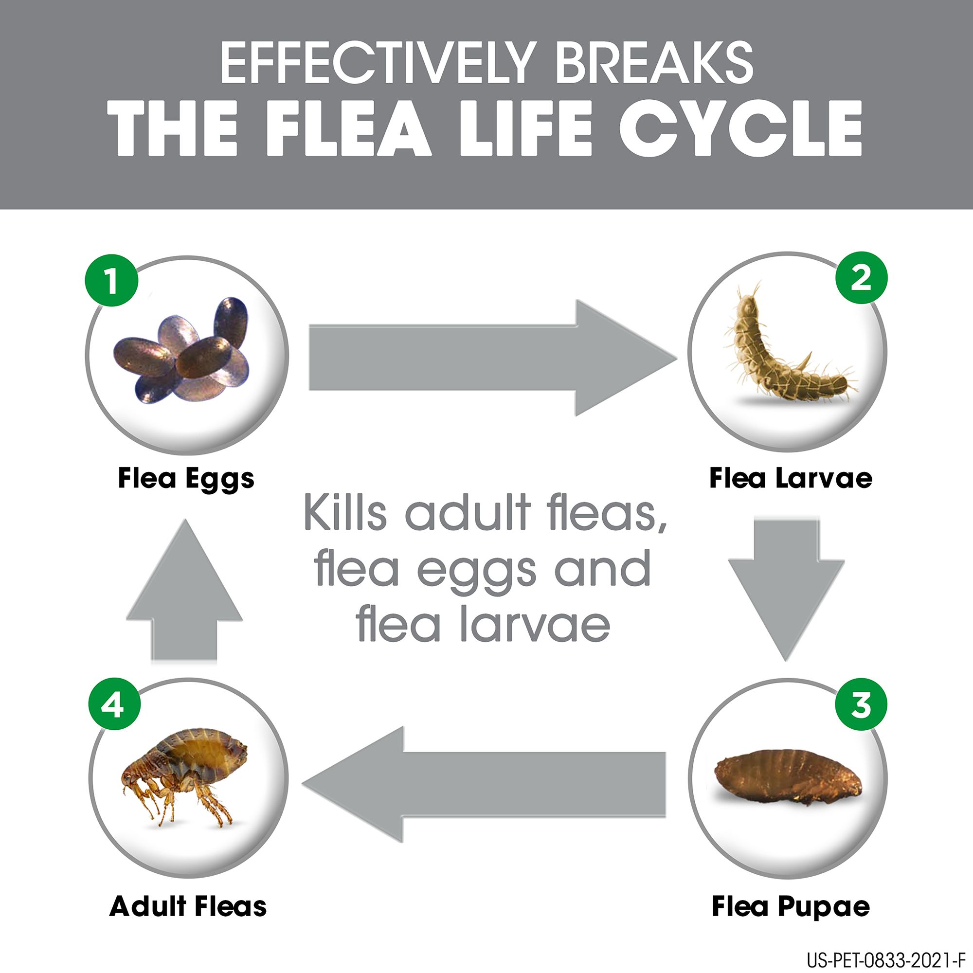 frontline flea treatment tesco