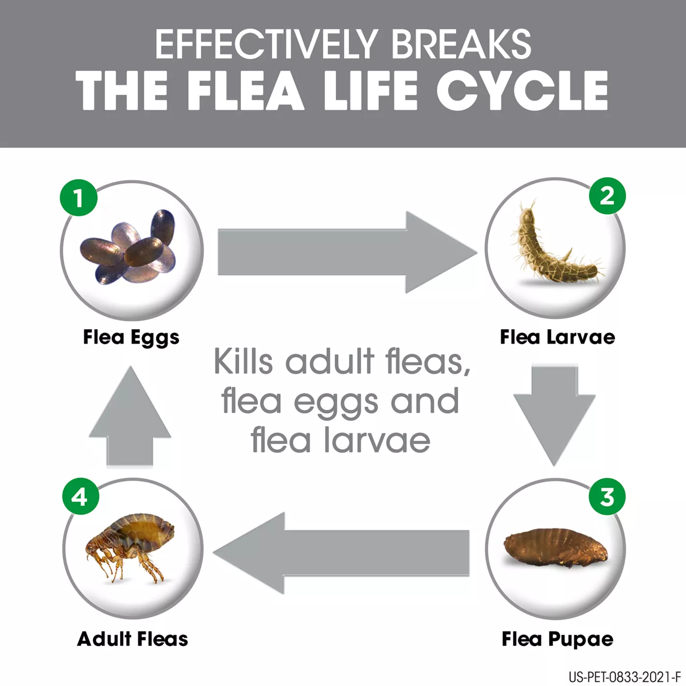 How does frontline kill ticks hotsell