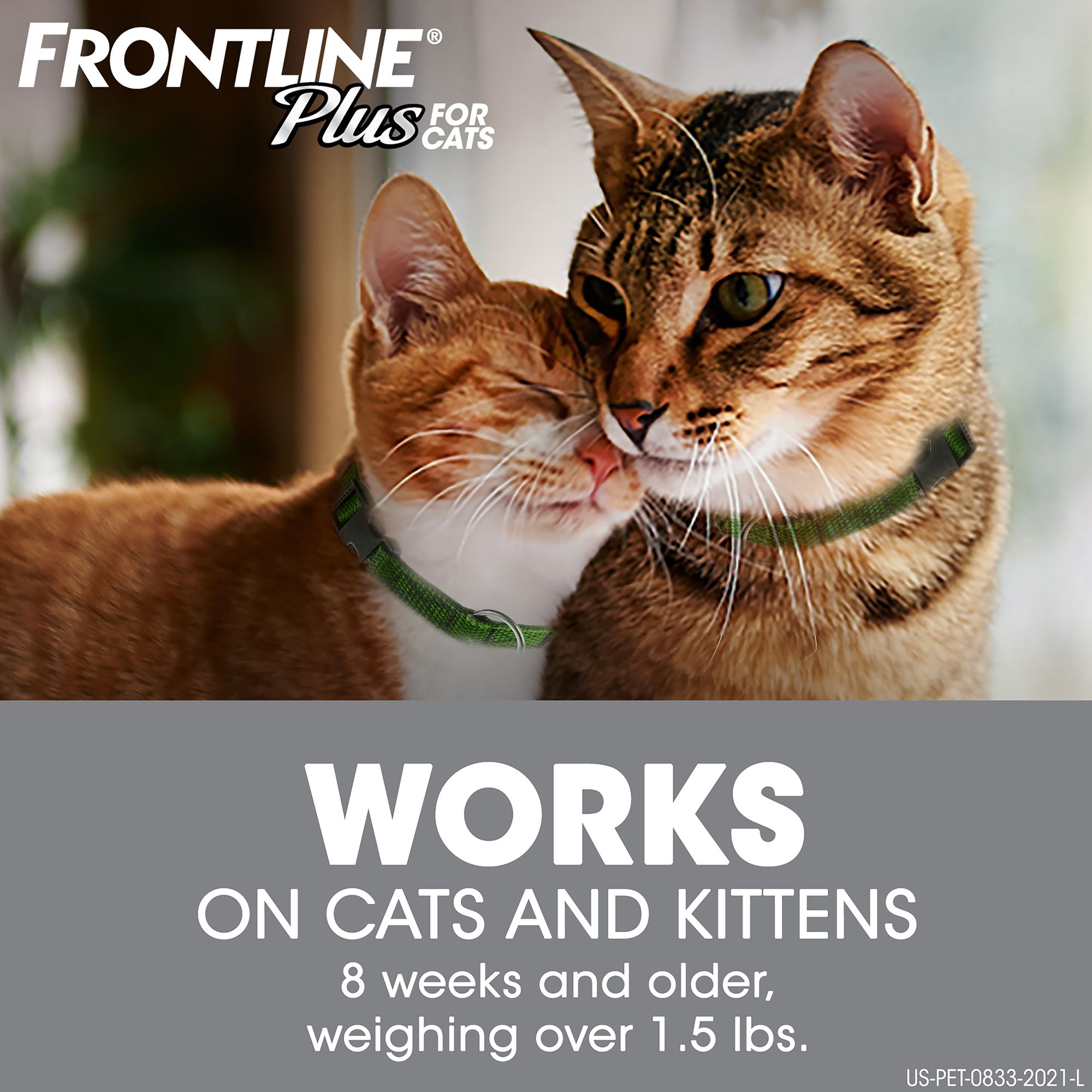 cat flea treatment frontline plus