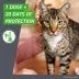 Frontline Plus Flea & Tick Spot Treatment for Cats, 1.5 lbs and over image thumbnail 5