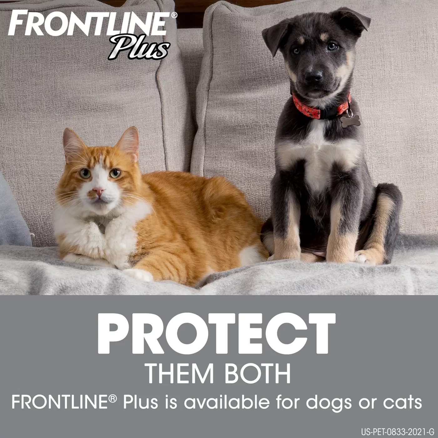 Flea treatment frontline plus hotsell