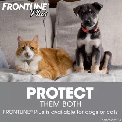 Product Frontline Plus Cat Flea & Tick Treatment