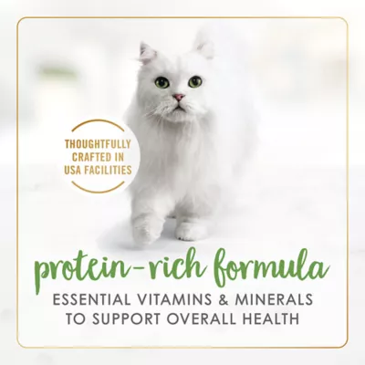 Product Fancy Feast® Gravy Lovers All Life Stages Cat Wet Food - 3 OZ