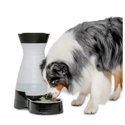 Product PetSafe® Healthy Pet Water Station - 64 oz Or 320 oz Capacity - Stainless Steel Bowl