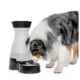 Product PetSafe® Healthy Pet Water Station - 64 oz Or 320 oz Capacity - Stainless Steel Bowl