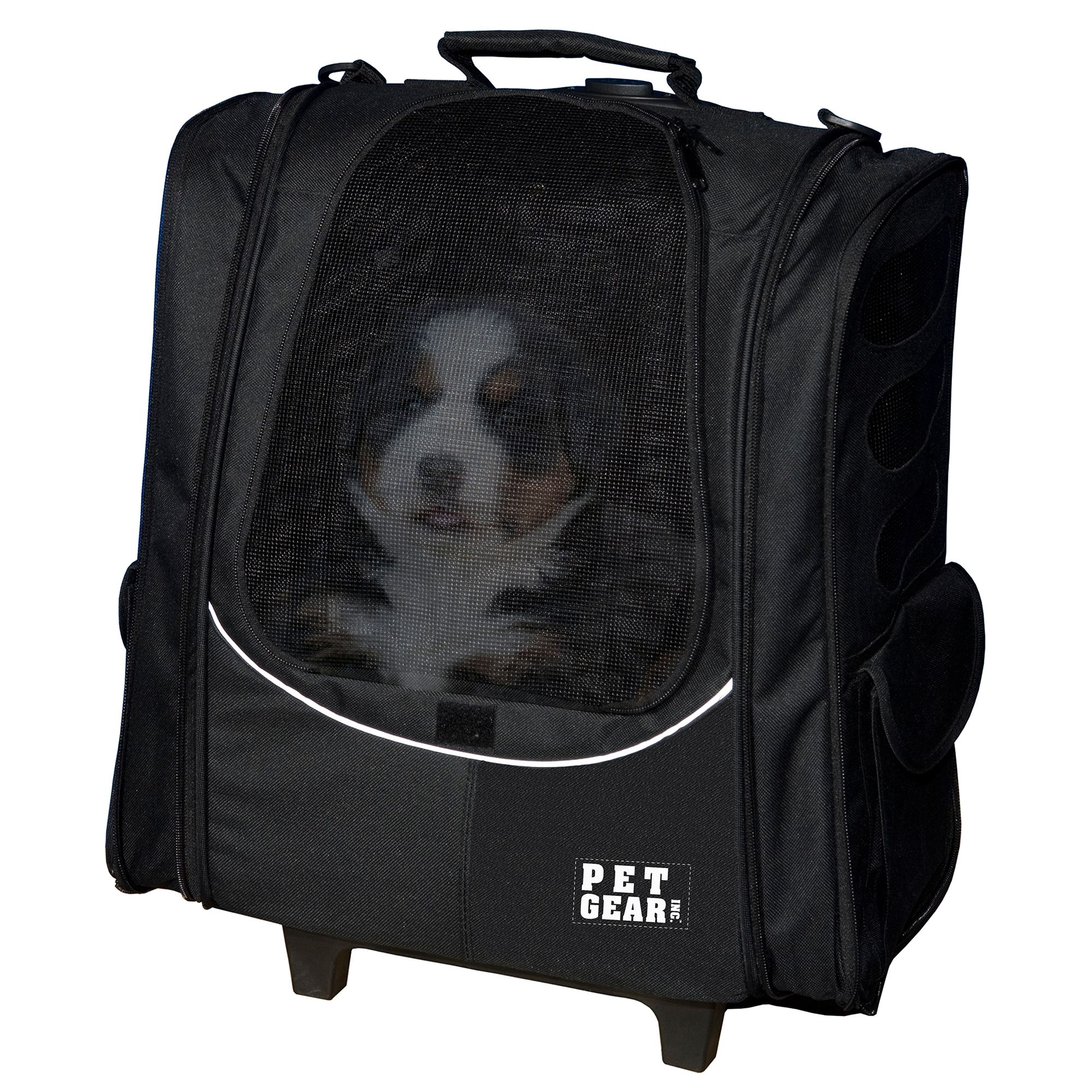 soft cat travel carrier