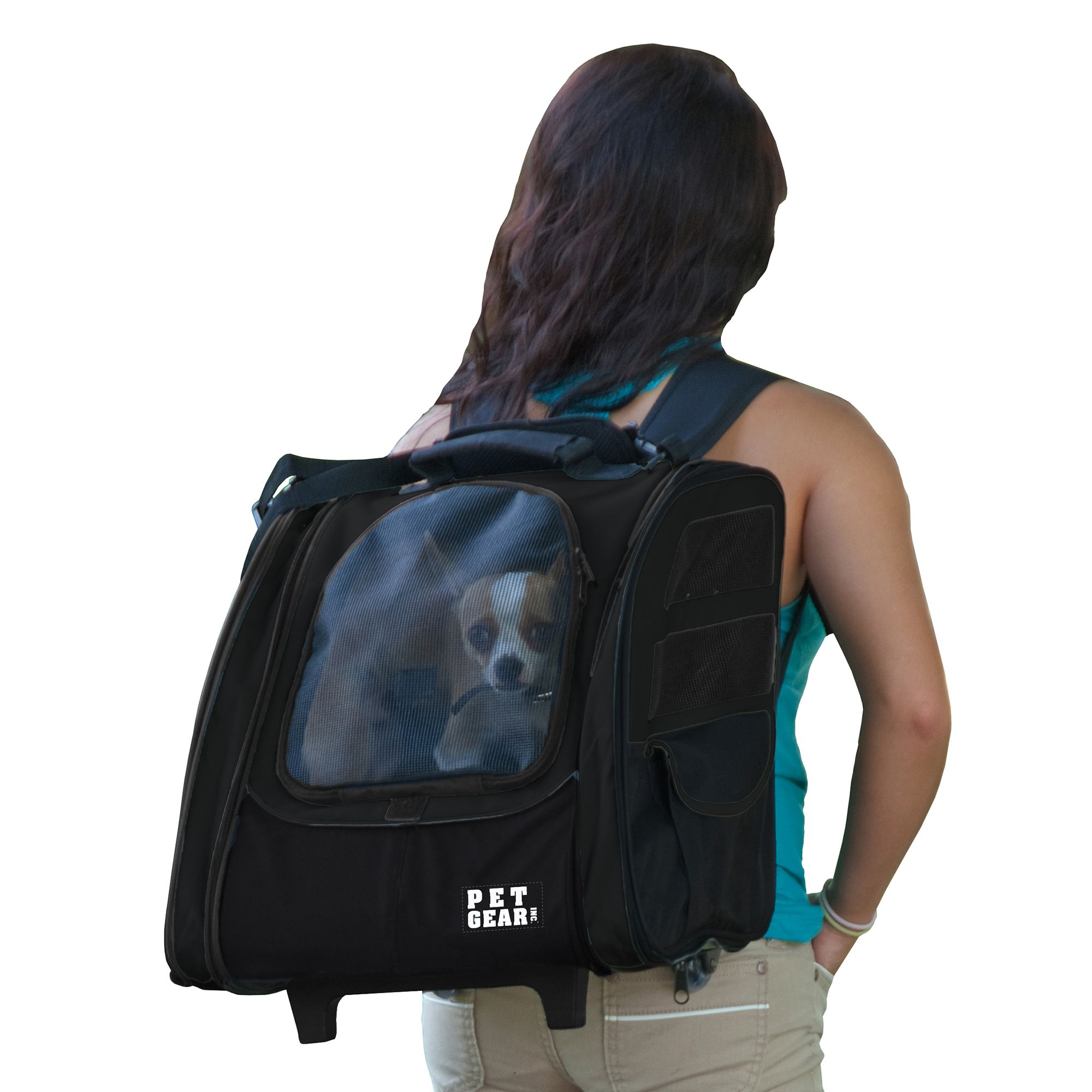 dog carrier backpack chewy