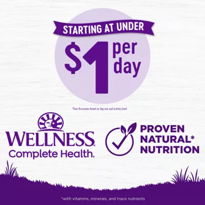 Product Wellness® Complete Health Adult Dog Food - Natural