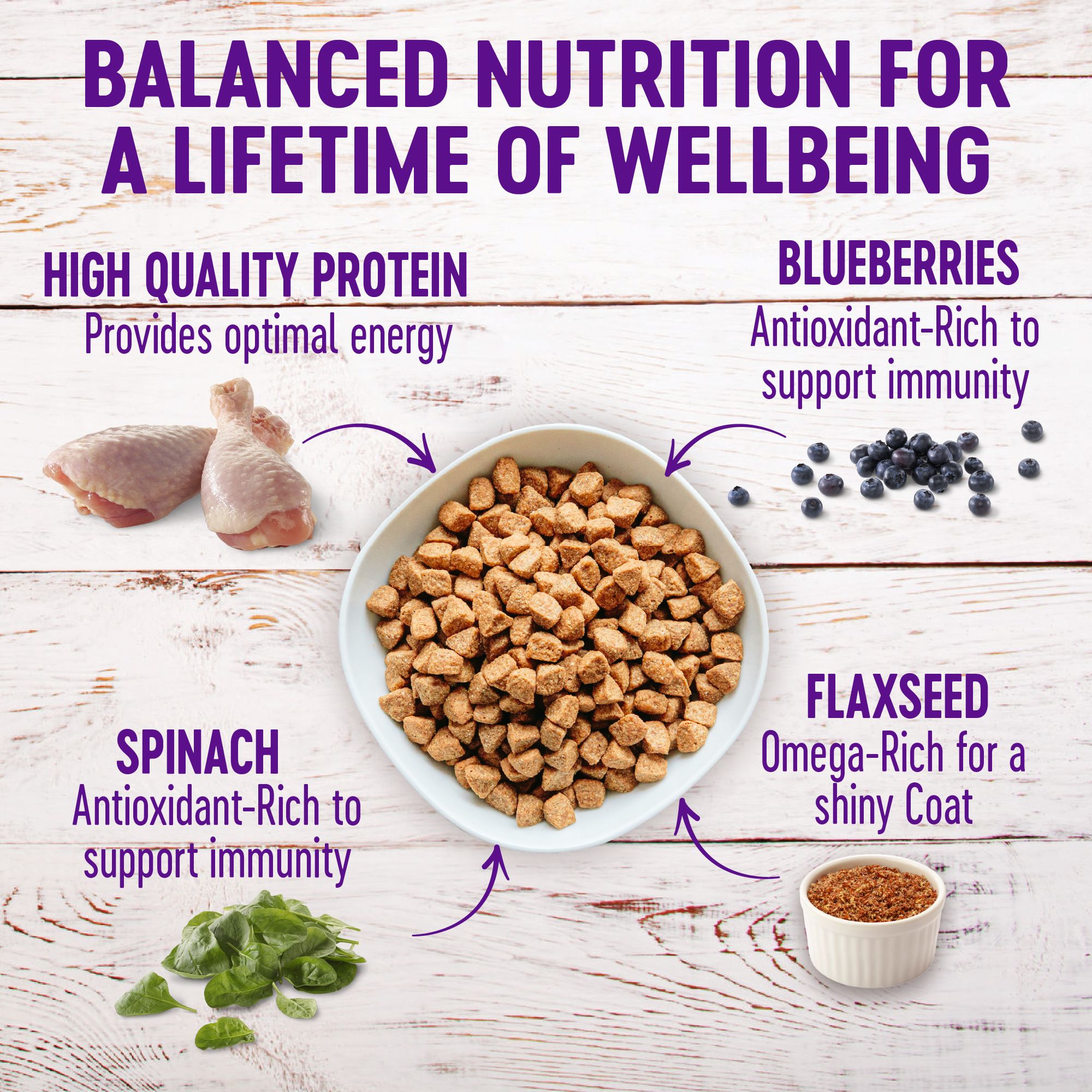 wellness complete senior dog food