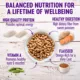 Product Wellness® Complete Health Adult Dog Food - Natural