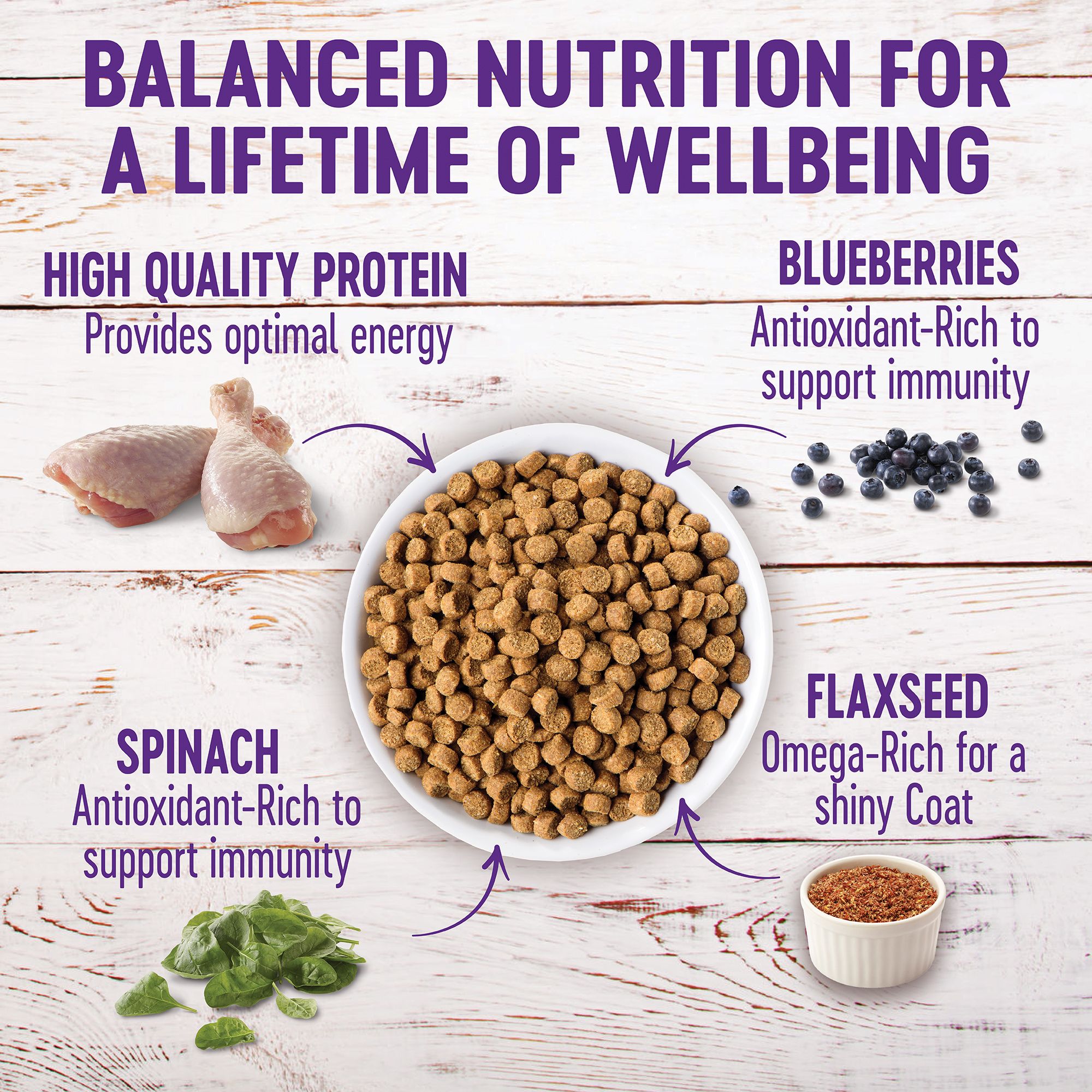 wellness complete health natural dry large breed puppy food