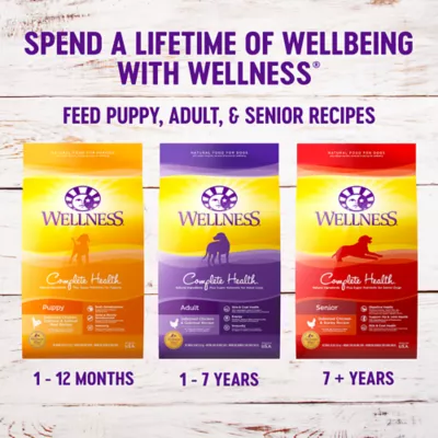 Product Wellness® Complete Health Large Breed Puppy Food - Natural