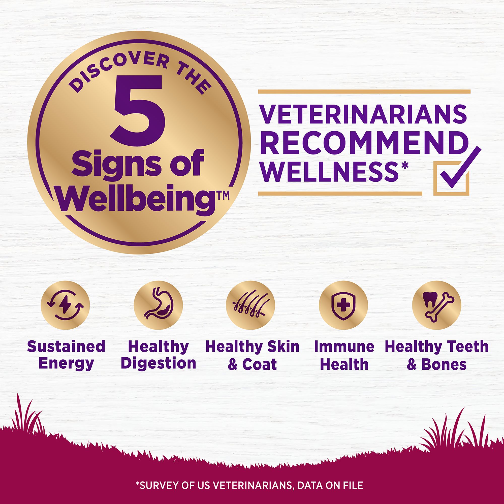 wellness complete health small breed senior