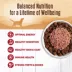 Wellness® 95% All Life Stage Dog Food Topper - Natural, Grain Free image thumbnail 4