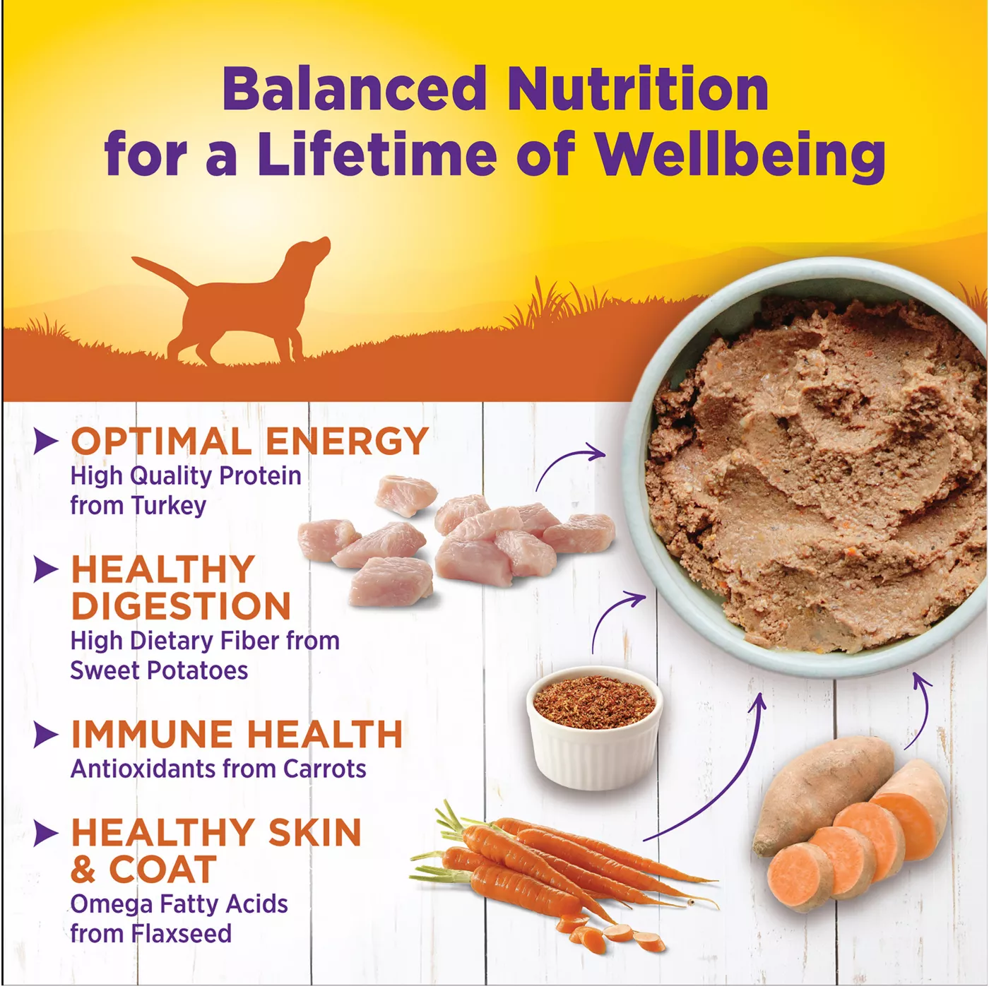 Wellness Complete Health Adult Wet Dog Food Natural