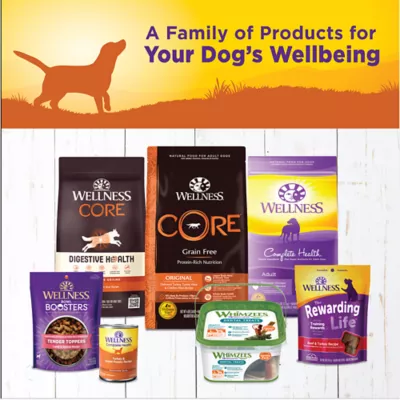 Product Wellness® Complete Health Adult Wet Dog Food - Natural