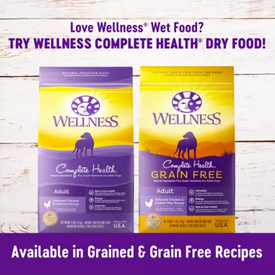 Product Wellness® Complete Health Adult Wet Dog Food - Natural
