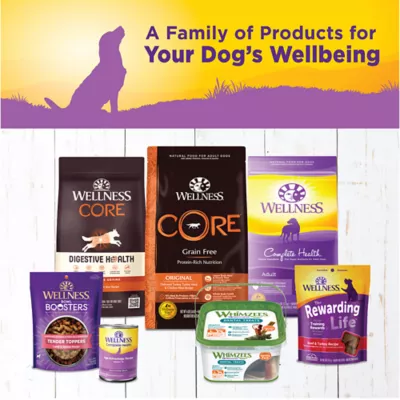 Product Wellness® Complete Health Senior Wet Dog Food - Natural