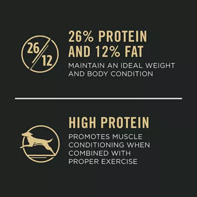 Product Purina Pro Plan Specialized Shredded Blend Large Breed Adult Dry Dog Food - Chicken & Rice