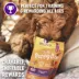Wellness® Soft Puppy Bites Puppy Treats - Natural, Grain Free, Lamb & Salmon image thumbnail 5