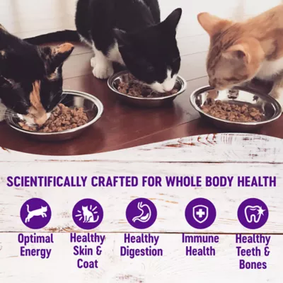 Product Wellness® Complete Health Cat Food - Natural, Grain Free, Pate