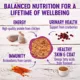 Product Wellness® Complete Health Cat Food - Natural, Grain Free, Pate
