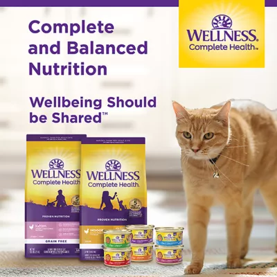 Product Wellness® Complete Health Kitten Wet Cat Food Pate - 3 oz, Natural, Grain Free