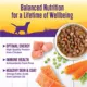 Product Wellness® Stews All Life Stage Wet Dog Food - Natural