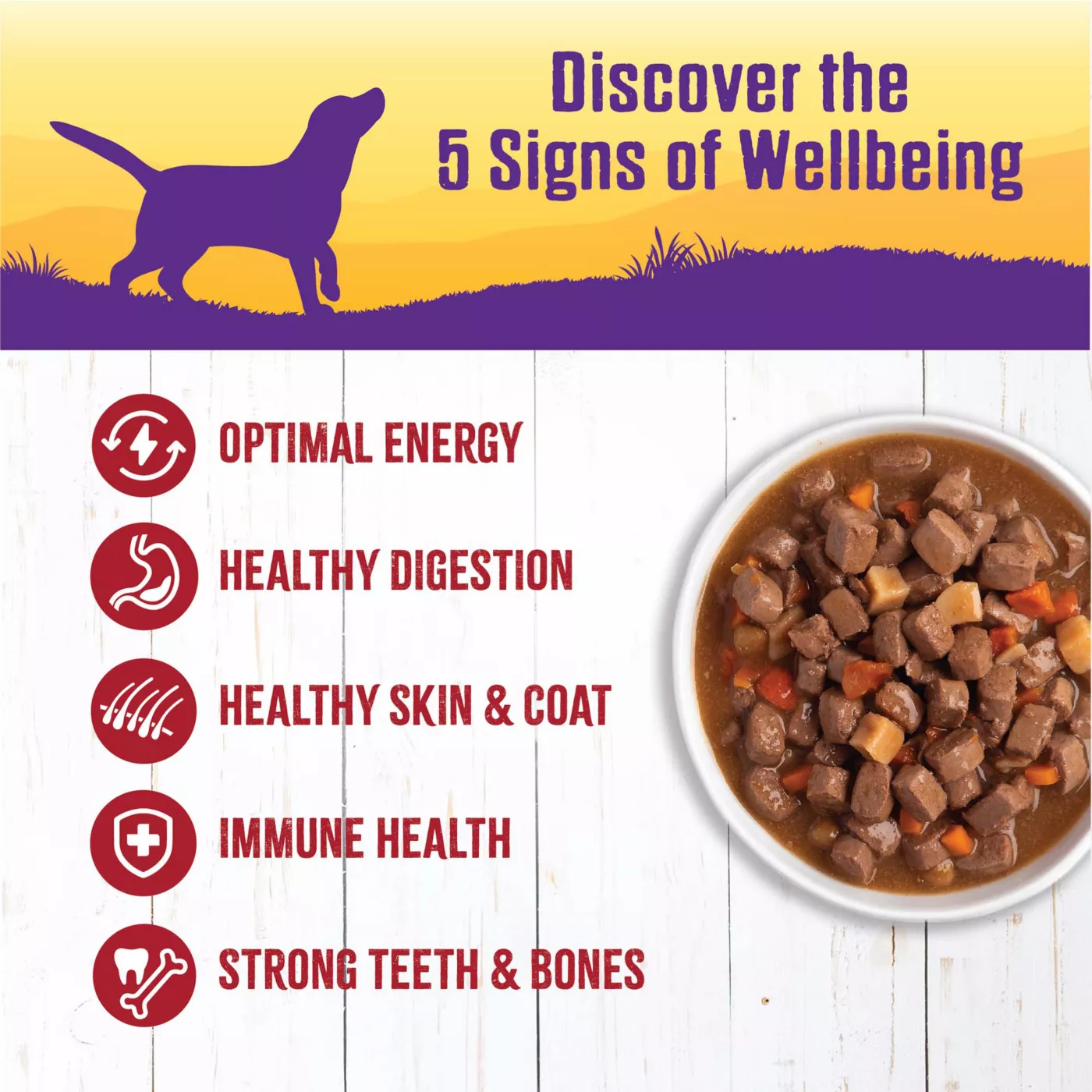 Refrigerate wet dog food sales