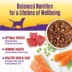 Wellness® Stews All Life Stage Wet Dog Food - Natural image thumbnail 5